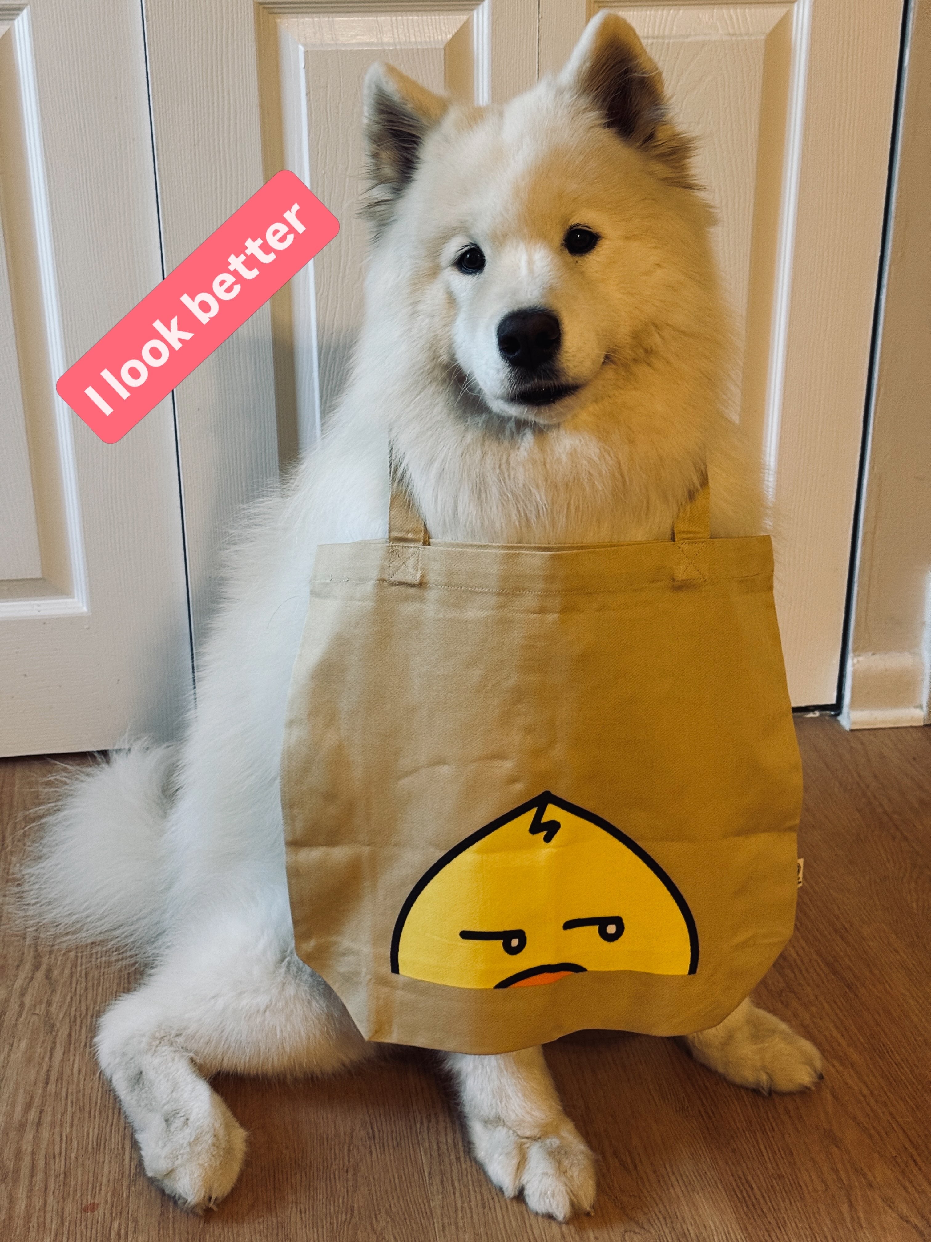 Waddleton the Peeking Duck™ Eco Tote Bag